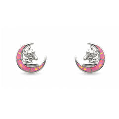 Silver Pink Paradise Unicorn Studs Earrings