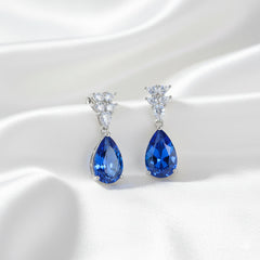 Silver Ocean Deep Blue Earrings