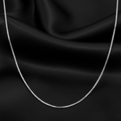 Silver Enchanting Classic Box Chain
